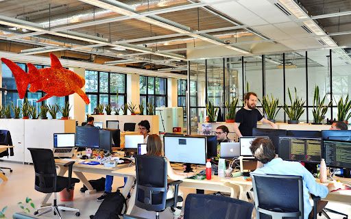 The TouchTree engineering team at work in the office